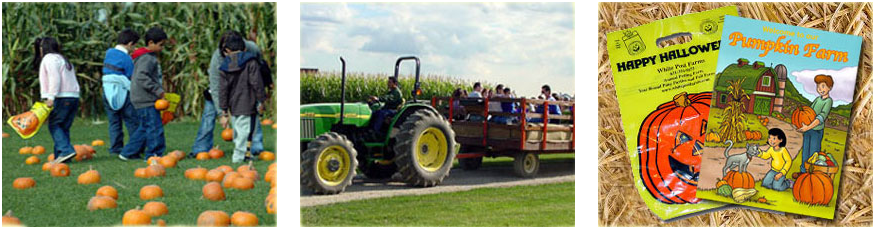 Field Trips Fall Field Trips